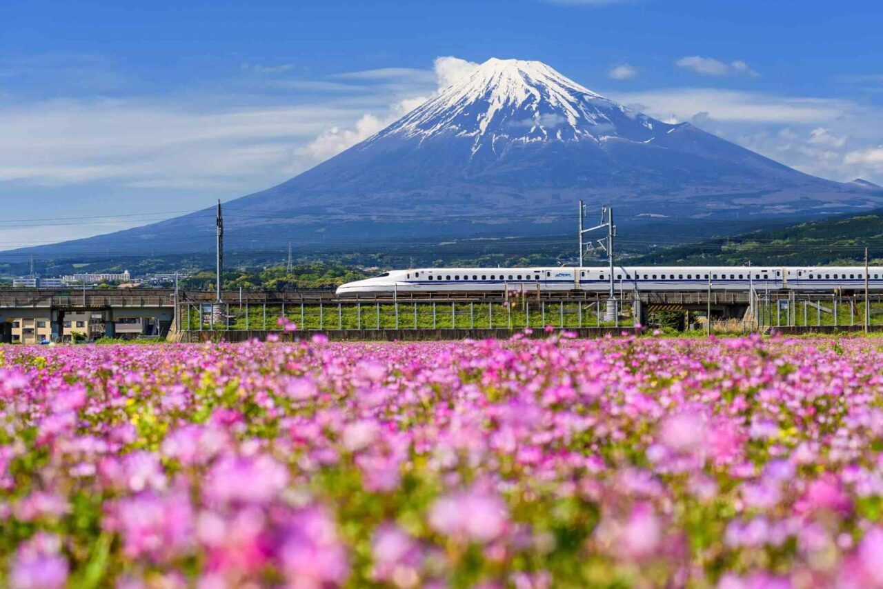 https://saharatripper.com/wp-content/uploads/2018/09/tour-osaka-04-1280x854.jpg