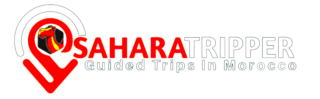 https://saharatripper.com/wp-content/uploads/2025/01/footer-logo_110837-320x99.png