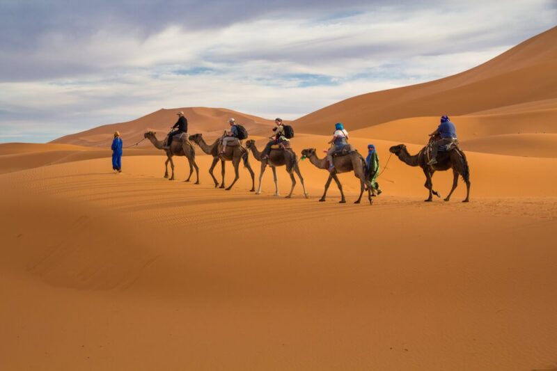 Camel Trekking