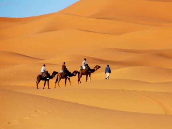 Best 11 Days Morocco Desert Tour from Tangier