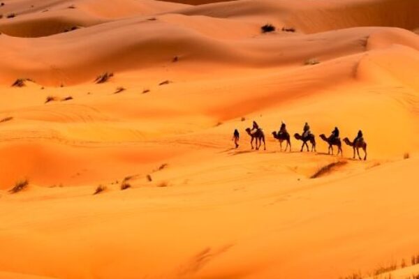 Best 4 Days Desert Tour from Fes & Camel Trek in Merzouga