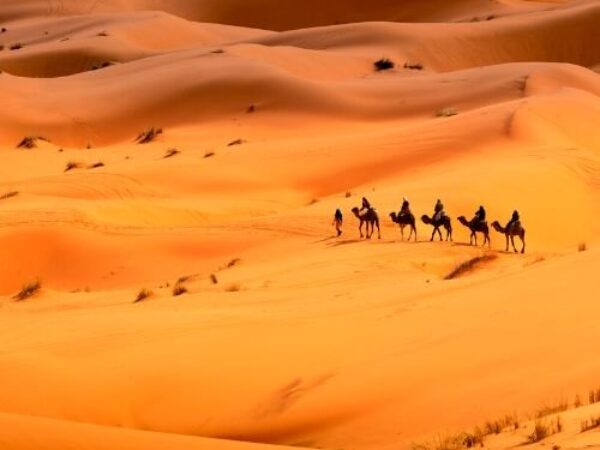 Best 4 Days Desert Tour from Fes & Camel Trek in Merzouga
