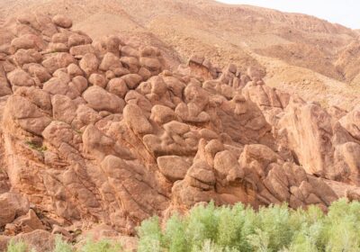 Todra Gorge Guide: Morocco’s Most Dramatic Canyon (2026)