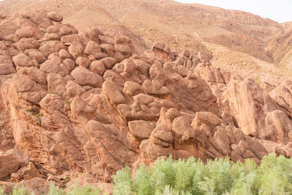 Todra Gorge — Todra Gorge Guide: Morocco's Most Dramatic Ca