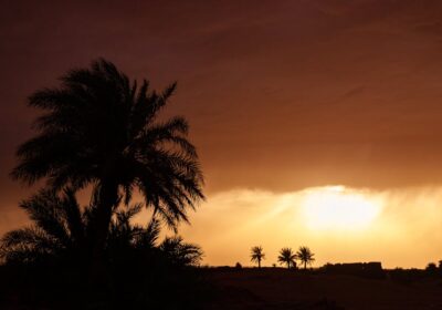Merzouga Village Guide: What to Do Beyond the Dunes (2026)