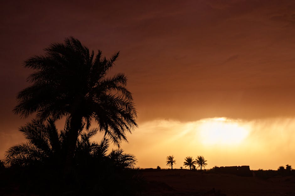 Merzouga village — Merzouga Village Guide: What to Do Beyond the