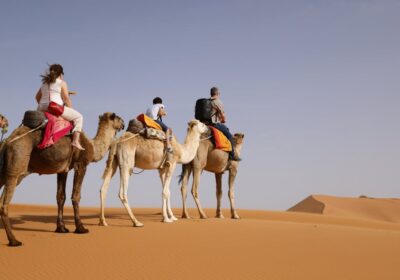 Morocco with Kids: The Complete Family Travel Guide (2026)