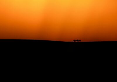 Marrakech to Sahara Desert: 3-Day Tour Itinerary (Complete Guide)