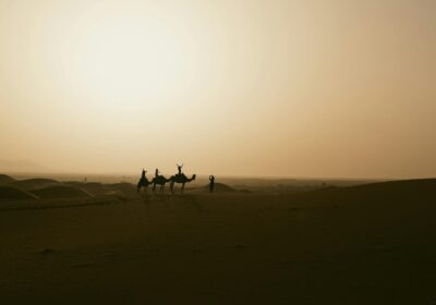Camel Trekking in Morocco: Everything You Need to Know (2026)