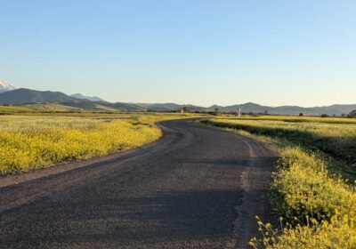 Morocco in March: Spring Travel Guide & What to Expect (2026)